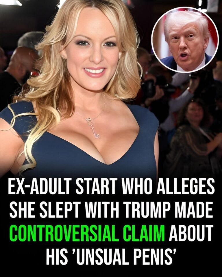 Ex-adult star who says she slept with Trump made one surprising claim about his manhood5