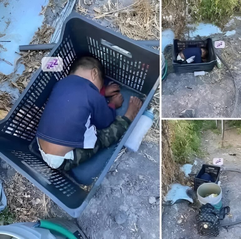 This approximately 2-year-old boy was found… See more4
