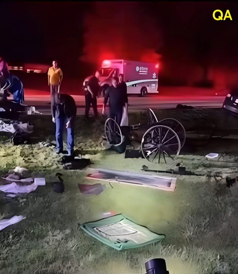 Jeep Collides with Amish Buggy in Berne, Father Airlifted and Children Injured