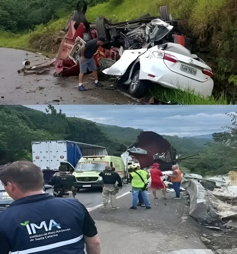 Major Road Accident Under Investigation — Authorities Confirm